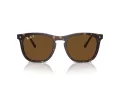 Ray-Ban Sonnenbrille RB 2210 902/57