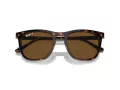 Ray-Ban Sonnenbrille RB 2210 902/57