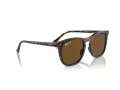 Ray-Ban Sonnenbrille RB 2210 902/57