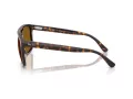 Ray-Ban Sonnenbrille RB 2213 902/33