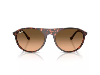 Ray-Ban Sonnenbrille RB 2215 14293B