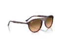 Ray-Ban Sonnenbrille RB 2215 14293B