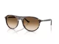 Ray-Ban Sonnenbrille RB 2215 143151
