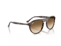 Ray-Ban Sonnenbrille RB 2215 143151