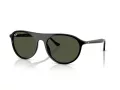 Ray-Ban Sonnenbrille RB 2215 901/31