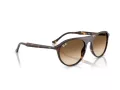 Ray-Ban Sonnenbrille RB 2215 902/51