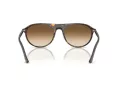 Ray-Ban Sonnenbrille RB 2215 902/51