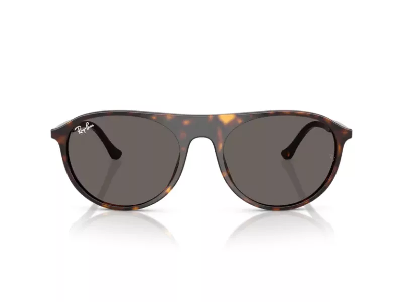 Ray-Ban Sonnenbrille RB 2215 902/B1