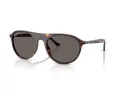 Ray-Ban Sonnenbrille RB 2215 902/B1