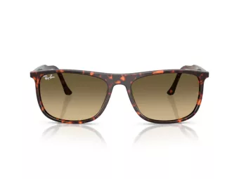 Ray-Ban Sonnenbrille RB 2216 14290A