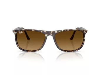 Ray-Ban Sonnenbrille RB 2216 143185