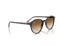 Ray-Ban Bernard Sonnenbrille RB 2230 902/51