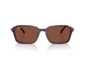 Ray-Ban Raimond Sonnenbrille RB 2231 1416C5