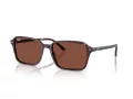 Ray-Ban Raimond Sonnenbrille RB 2231 1416C5