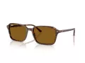 Ray-Ban Raimond Sonnenbrille RB 2231 141833