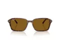 Ray-Ban Raimond Sonnenbrille RB 2231 141833