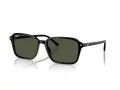 Ray-Ban Raimond Sonnenbrille RB 2231 901/31