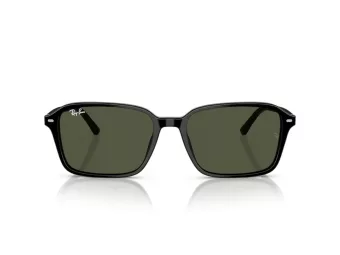 Ray-Ban Raimond Sonnenbrille RB 2231 901/31