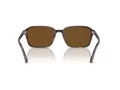 Ray-Ban Raimond Sonnenbrille RB 2231 902/57