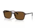 Ray-Ban Raimond Sonnenbrille RB 2231 902/57