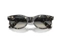 Ray-Ban Wayfarer Oval Sonnenbrille RB 2242 133371