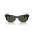 Ray-Ban Wayfarer Oval Sonnenbrille RB 2242 901/31
