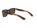 Ray-Ban Caribbean Sonnenbrille RB 2248 954/31