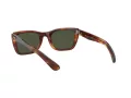Ray-Ban Caribbean Sonnenbrille RB 2248 954/31