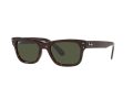 Ray-Ban Mr Burbank Sonnenbrille RB 2283 902/31