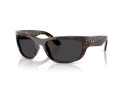 Ray-Ban Mega Balorama Sonnenbrille RB 2289 902/48