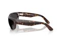 Ray-Ban Mega Balorama Sonnenbrille RB 2289 902/48