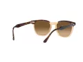 Ray-Ban Hawkeye Sonnenbrille RB 2298 1292M2