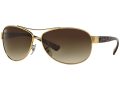 Ray-Ban Sonnenbrille RB 3386 00113