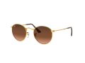 Ray-Ban Round Metal Sonnenbrille RB 3447 9001/A5
