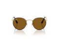 Ray-Ban Round Metal Sonnenbrille RB 3447 927533