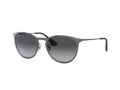 Ray-Ban Erika Metal Sonnenbrille RB 3539 192/8G