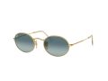 Ray-Ban Oval Sonnenbrille RB 3547 001/3M