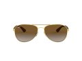 Ray-Ban Sonnenbrille RB 3549 001/T5