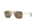 Ray-Ban New Caravan Sonnenbrille RB 3636 9196/G5