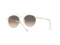 Ray-Ban Sonnenbrille 3647N 923632