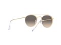 Ray-Ban Sonnenbrille 3647N 923632