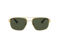 Ray-Ban Sonnenbrille RB 3663 001/31