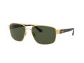 Ray-Ban Sonnenbrille RB 3663 001/31