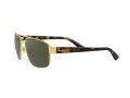 Ray-Ban Sonnenbrille RB 3663 001/31