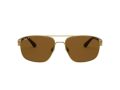 Ray-Ban Sonnenbrille RB 3663 001/57