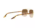 Ray-Ban Sonnenbrille RB 3699 001/51