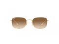 Ray-Ban Sonnenbrille RB 3706 001/51
