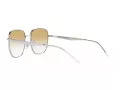 Ray-Ban Sonnenbrille RB 3713D 003/2Q