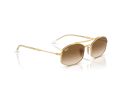 Ray-Ban Sonnenbrille RB 3719 001/51