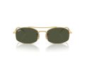 Ray-Ban Sonnenbrille RB 0RB3719 001/31